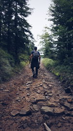 Rear view of man walking on footpath