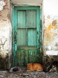 Closed blue door of building