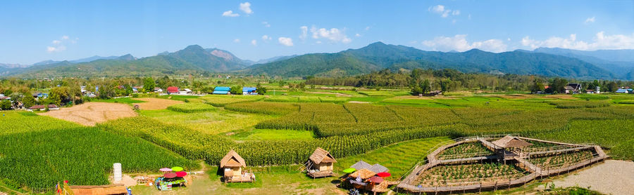 Beautiful panorama view of the coffee shop with green rice fields and mountains in thailand.