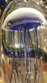 Close-up of illuminated lamp