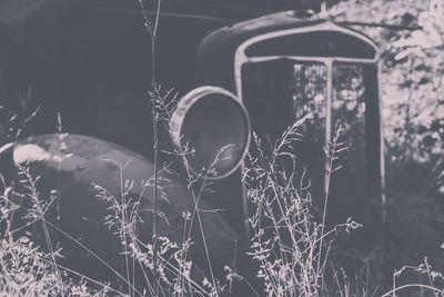 Abandoned vintage car on field