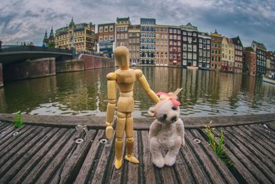 Dog in a lake