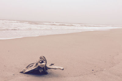 Full length of horse on beach against sky