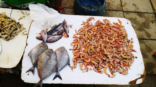 High angle view of various fishes for sale