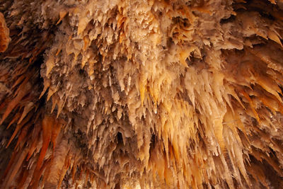 Full frame shot of cave