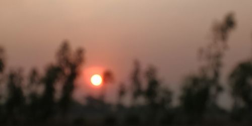 Defocused image of silhouette tree against sky during sunset