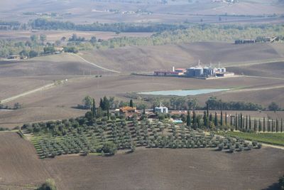 High angle view of agricultural field