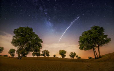 Trees on field against sky at night