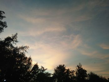 Low angle view of silhouette trees against sky during sunset