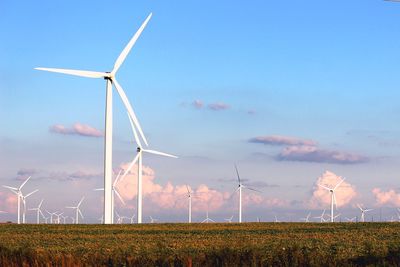 Wind turbines on field against blue sky