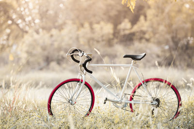 Bicycle parked on field