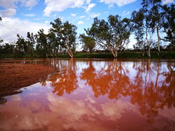 Reflection of trees in lake against sky