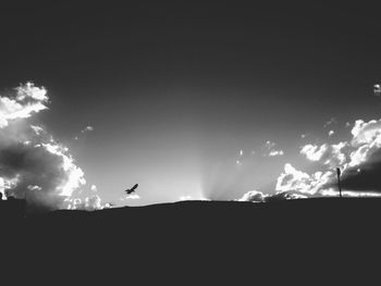 Low angle view of bird flying in sky