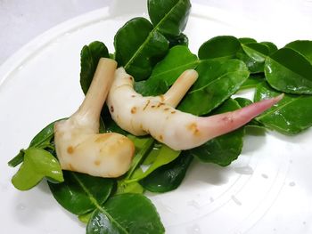 High angle view of vegetables in plate