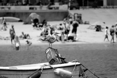 Side view of seagull perching on boat in sea with people in background