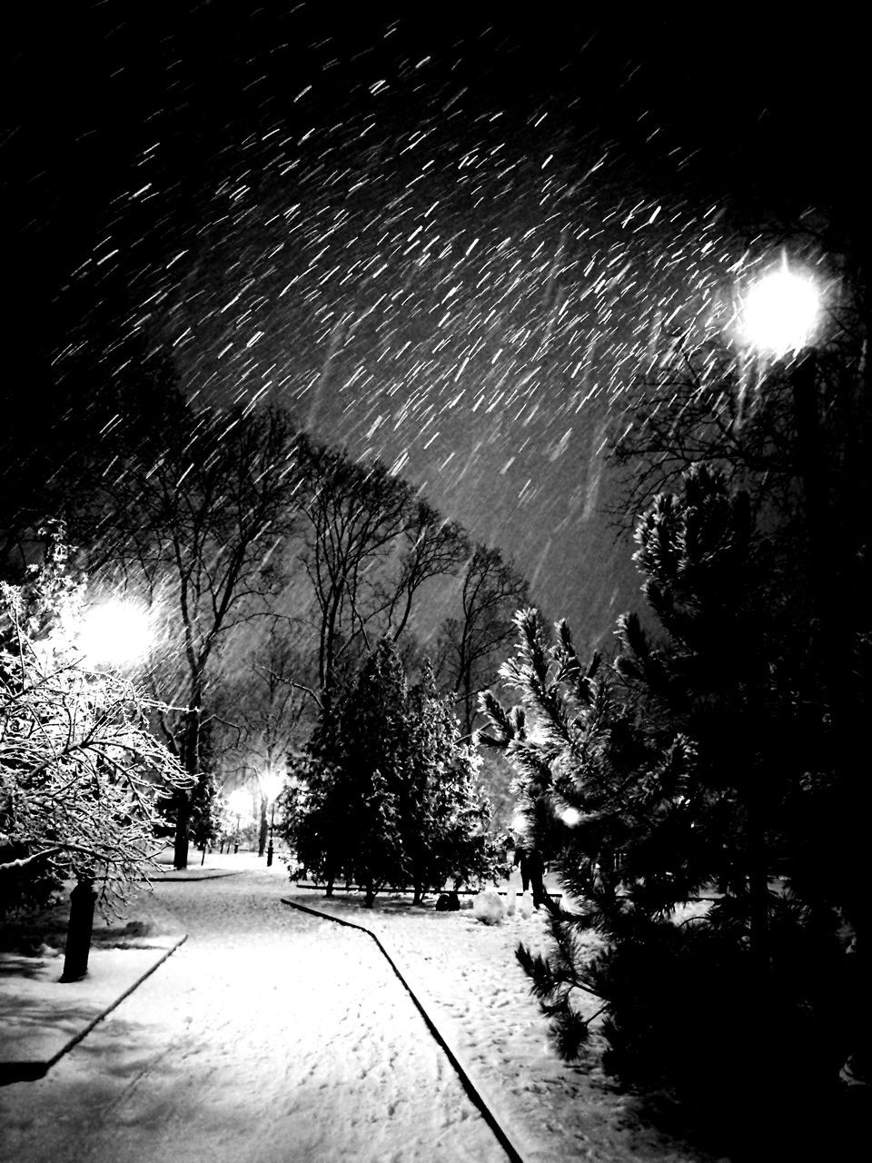 night, the way forward, snow, cold temperature, illuminated, winter, tree, weather, street light, nature, outdoors, road, scenics, no people, beauty in nature, sky