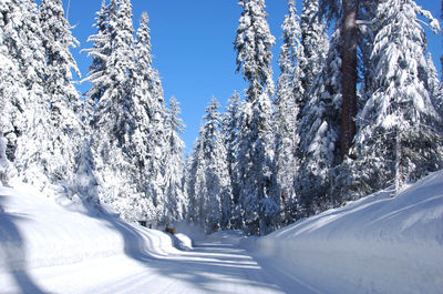 On the way to montecito sequoia lodge