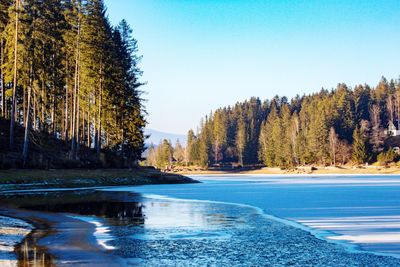 Scenic view of lake by trees against clear blue sky