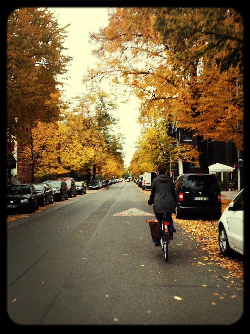 tree, transportation, rear view, the way forward, street, walking, men, road, lifestyles, transfer print, full length, car, person, mode of transport, autumn, diminishing perspective, leisure activity, auto post production filter