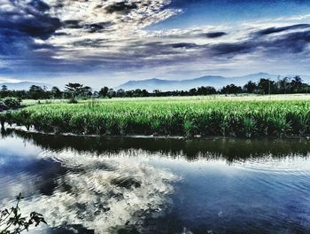 Scenic view of lake against sky