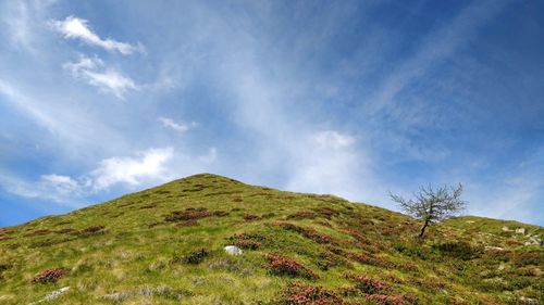 Low angle view of mountain against sky