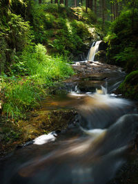 Stream flowing through rocks in forest