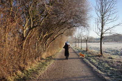 Rear view of man walking on road