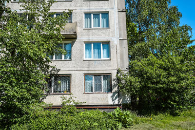 Low angle view of tree by building