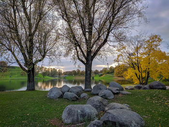 Bare trees in park by lake against sky