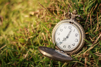 Close-up of pocket watch on grass