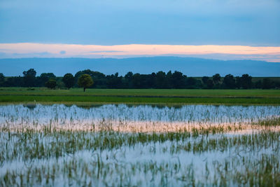 Scenic view of lake against sky