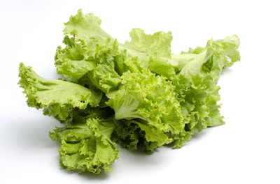 Close-up of green leaves against white background