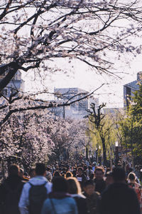Group of people on cherry blossom in city