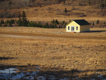 House on field by road against buildings