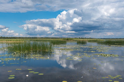 Lake lubans, the biggest lake in latvia. shallow drainage lake, malta