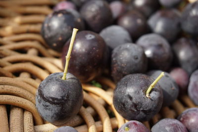 Close-up of blackberries in basket