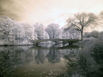 Arch bridge over river against sky