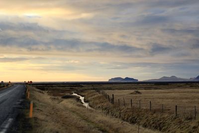 Sheep on road by land against sky during sunset