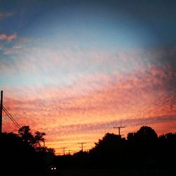 Silhouette of trees at sunset