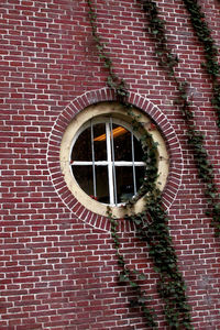 Close-up of window on brick wall