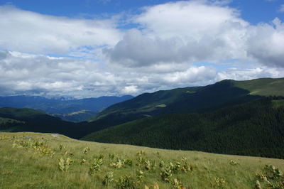 Scenic view of field against sky