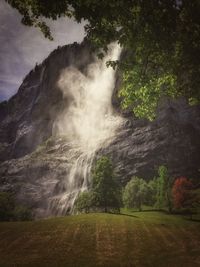 Scenic view of waterfall in forest