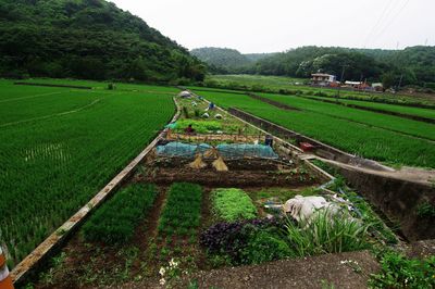 Scenic view of farm against sky