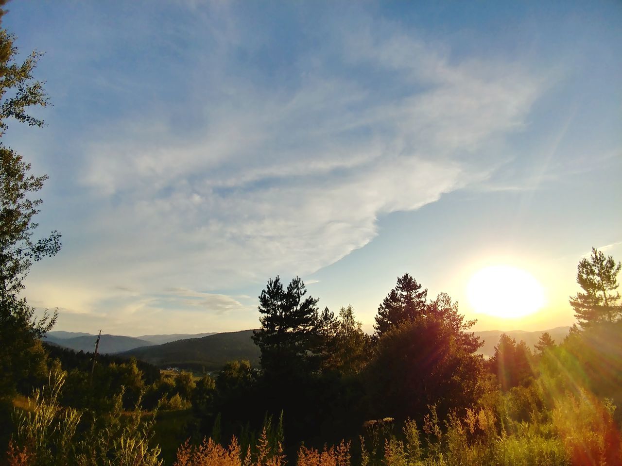 sky, cloud - sky, beauty in nature, plant, tranquility, tree, tranquil scene, scenics - nature, sunlight, sun, sunset, nature, landscape, no people, environment, non-urban scene, field, land, growth, lens flare, outdoors, bright