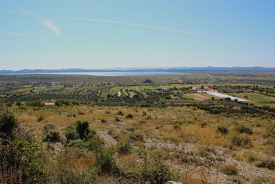 Scenic view of agricultural field against sky