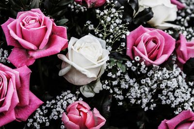 Close-up of rose bouquet