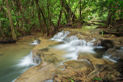 Scenic view of waterfall in forest