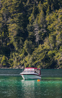 Scenic view of lake and trees in forest