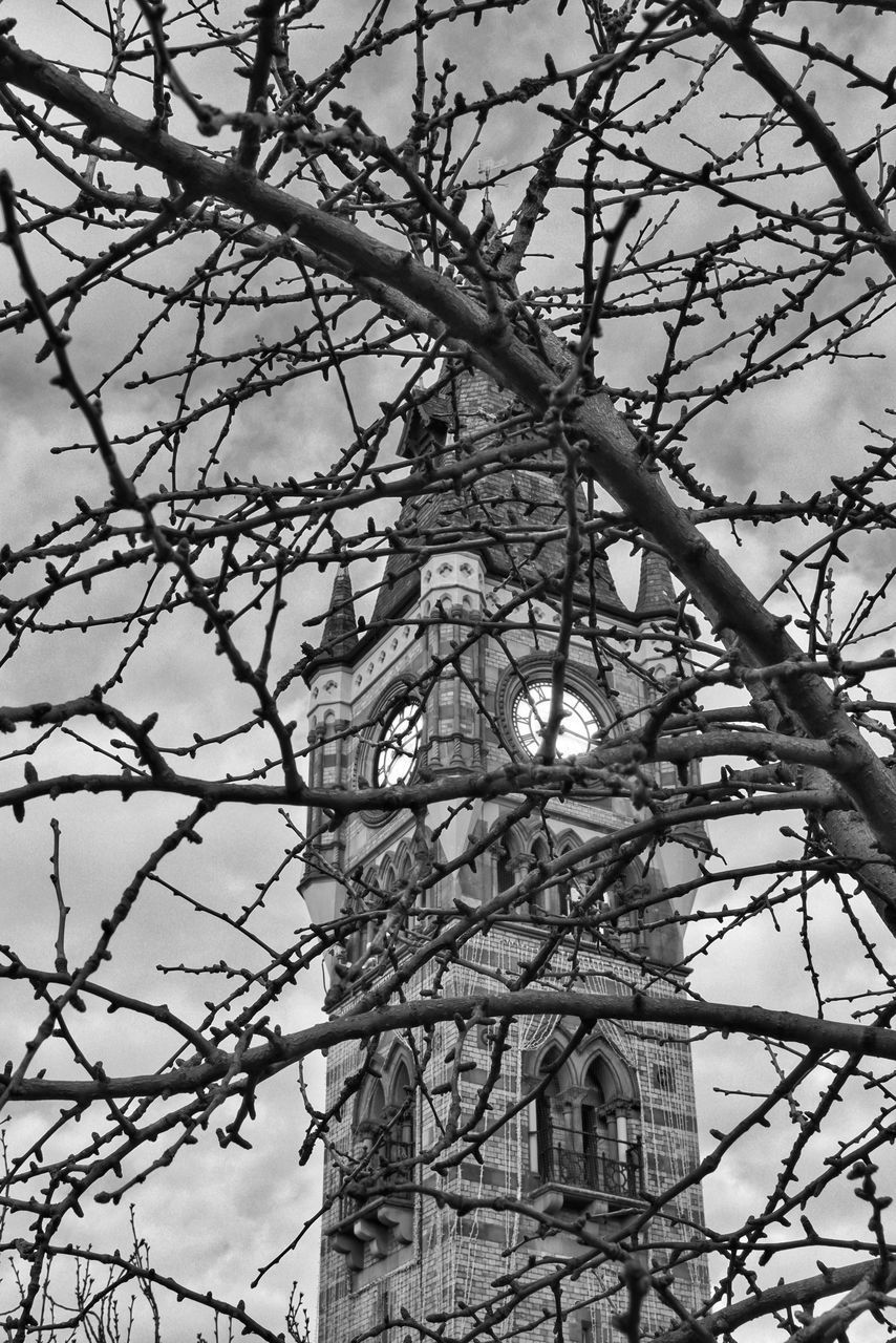 LOW ANGLE VIEW OF BARE TREE AGAINST BUILDING