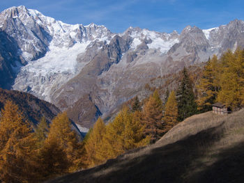 Snowcapped mountain with trees in foreground